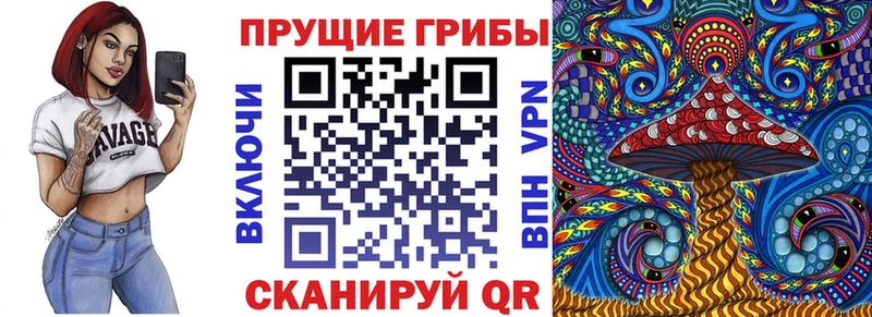 Галлюциногенные грибы MAGIC MUSHROOMS сайты даркнета какой сайт Кизел